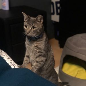 Meet your Posher, Michelle